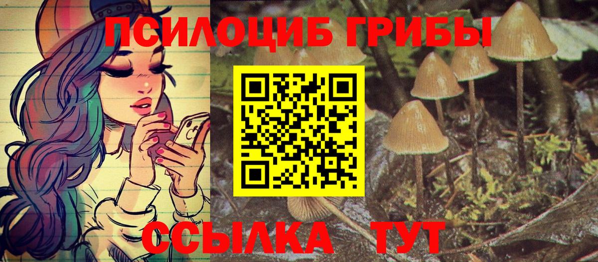 Ржев  Галлюциногенные грибы MAGIC MUSHROOMS  Вход с VPN 