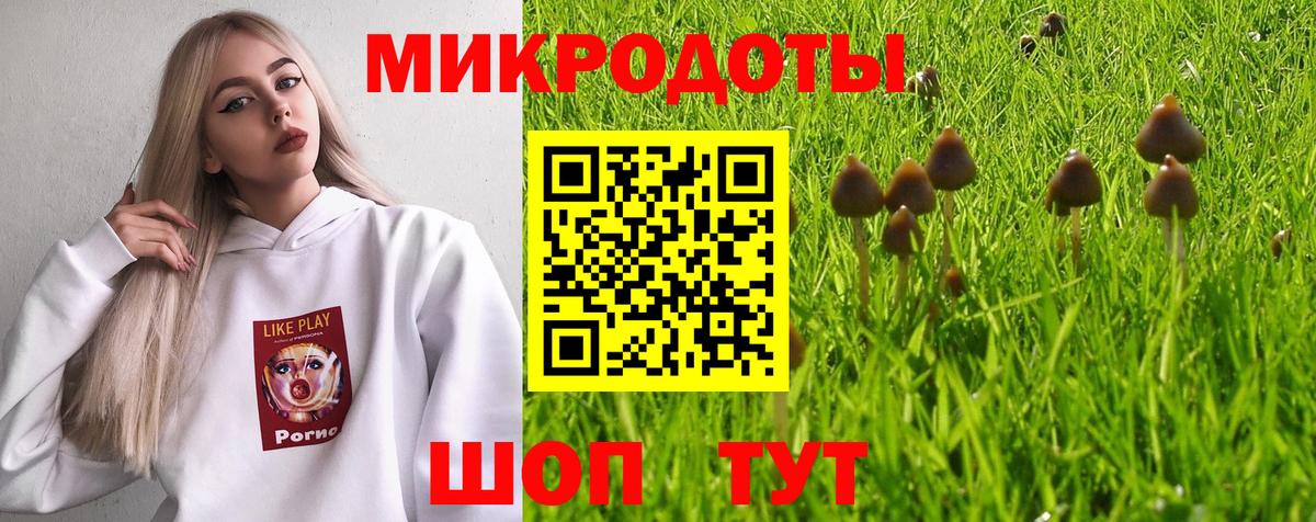 Галлюциногенные грибы MAGIC MUSHROOMS Ржев